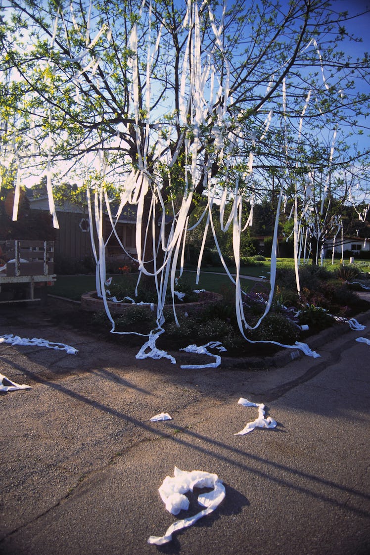 a tree covered in toilet paper from mischief night