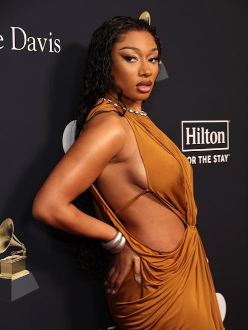 Megan Thee Stallion attends the 66th GRAMMY Awards Pre-GRAMMY Gala ahead of wearing plunging dress a...