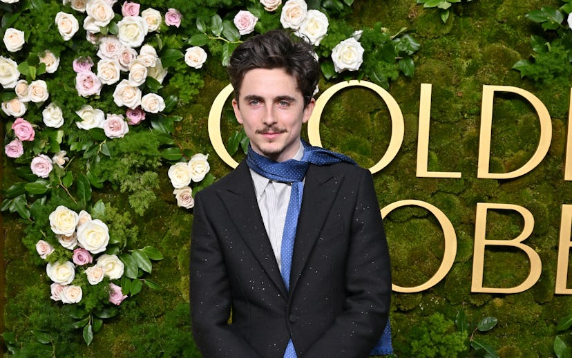 BEVERLY HILLS, CALIFORNIA - JANUARY 05: Timothée Chalamet attends the 82nd Annual Golden Globe Award...