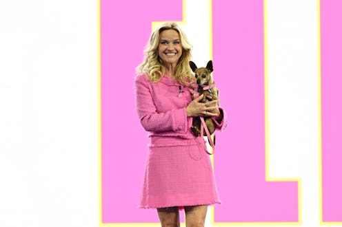 Reese Witherspoon Teases ‘Legally Blonde’ TV Show