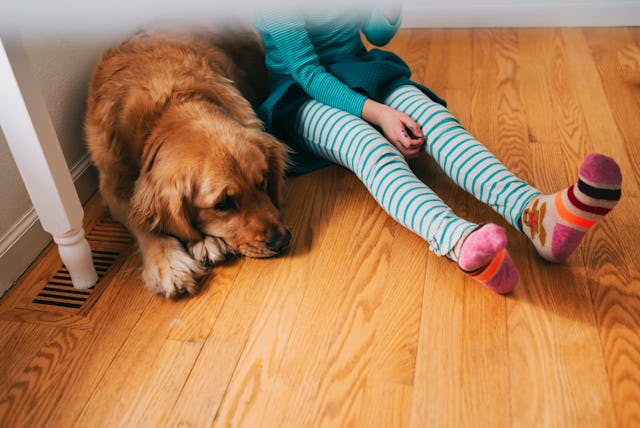30% of parents surveyed considered it acceptable to spank a child.