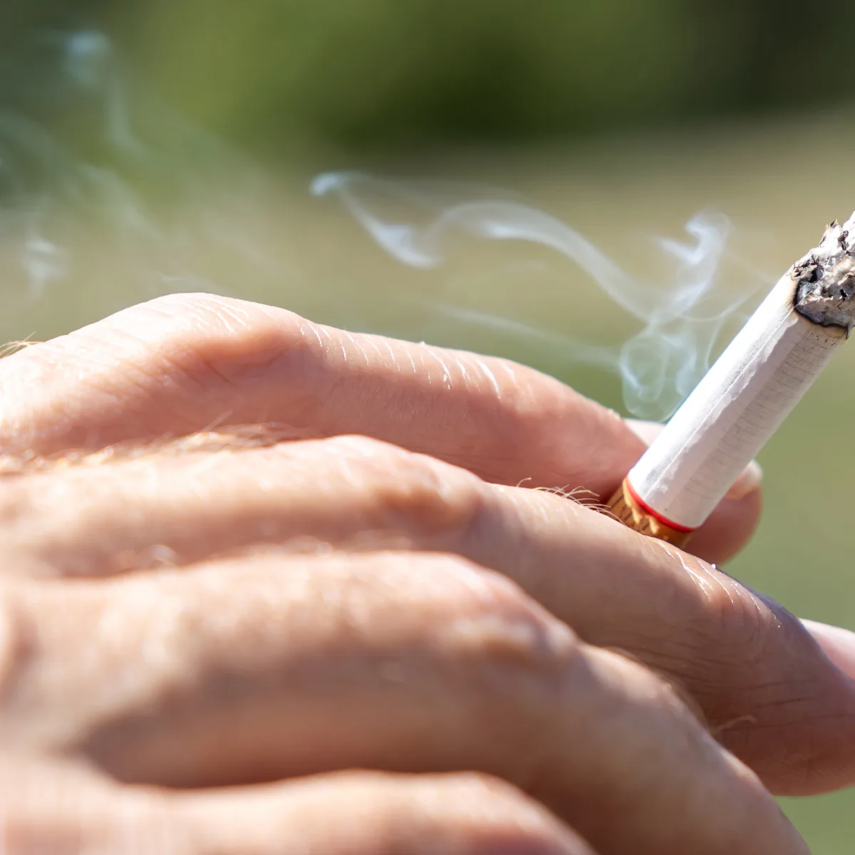 what is formaldehyde in cigarettes Do You Know What's in Your Cigarette? what is formaldehyde in cigarettes Do You Know What's in Your Cigarette?