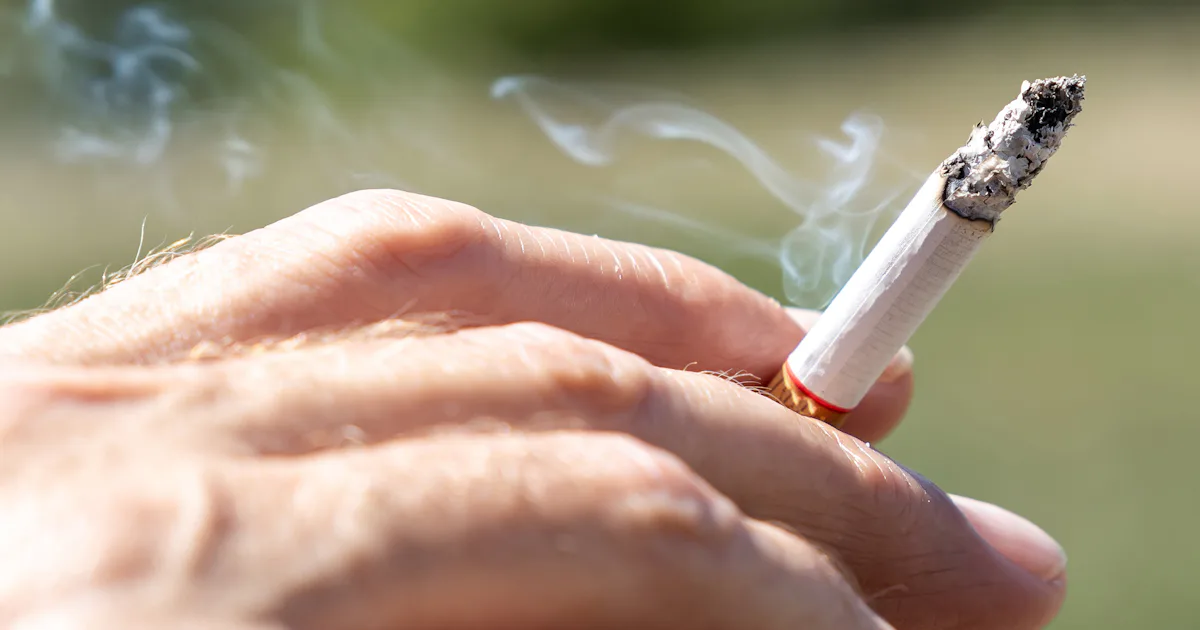 human cigarette 4 Things That Happen To Your Body When You Have A Cigarette For The First Time In A Long Time human cigarette 4 Things That Happen To Your Body When You Have A Cigarette For The First Time In A Long Time
