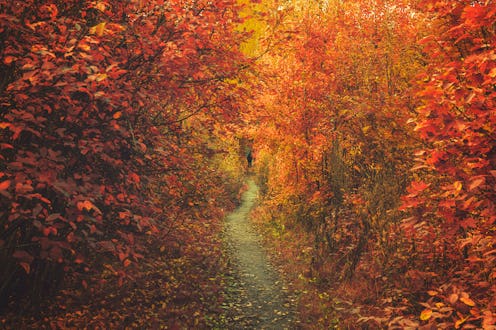 Unrecognizable person enjoying the beautiful autumn season. Turku, Western Finland, Northern Europe....