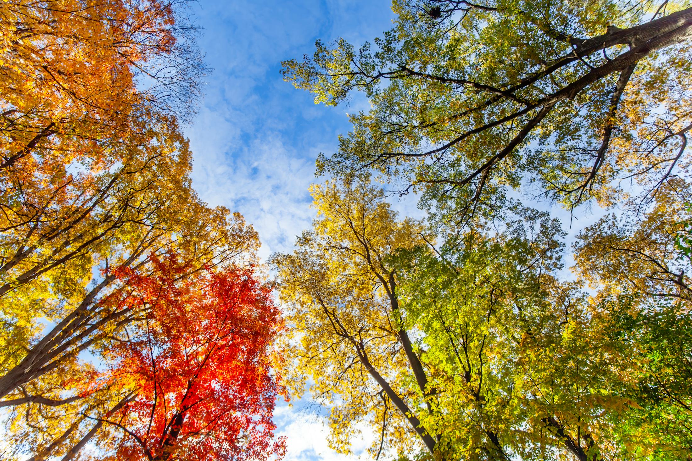 13 Literary Quotes About Fall To Get You Excited That The Season Is ...