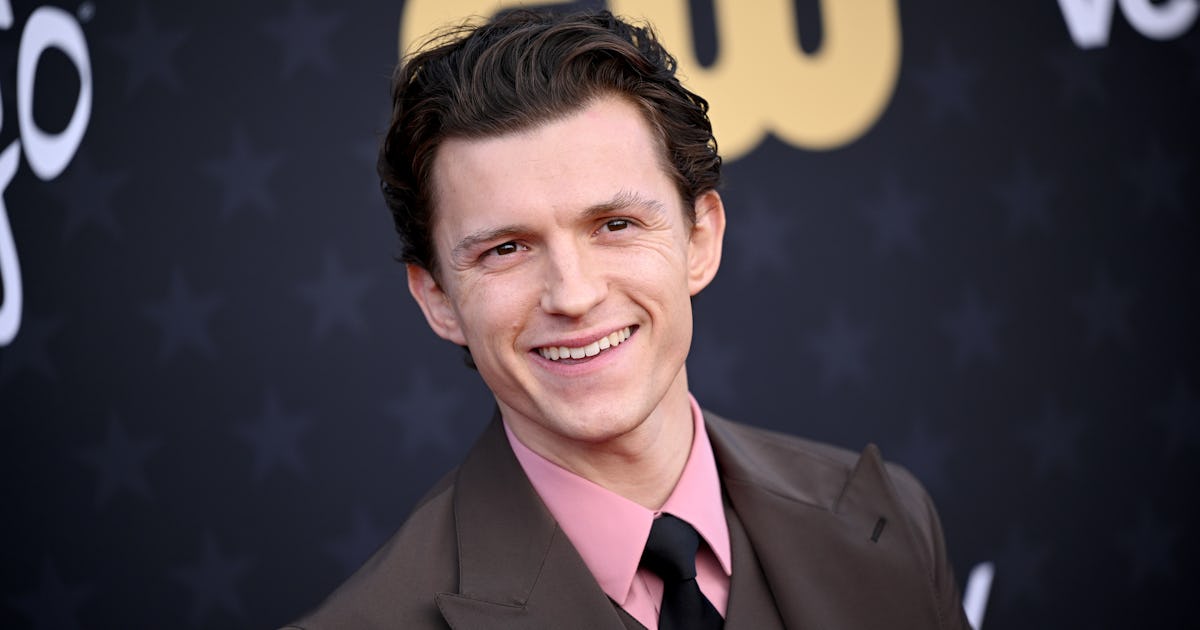 Tom Holland Went Viral For His Description Of Zendaya