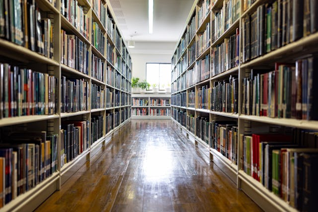 Empty hall full of books at the library - education concepts