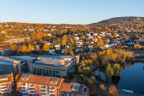 Aerial view of a residential and commercial neighborhood bathed in golden hour light, with vibrant a...