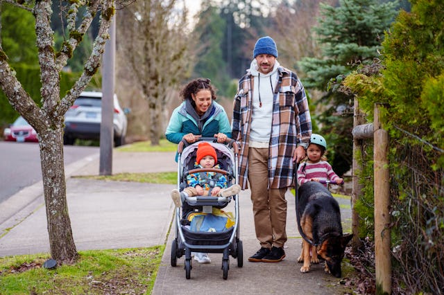 A cheerful Eurasian woman pushes her toddler son in a stroller while on a relaxing walk with her hus...