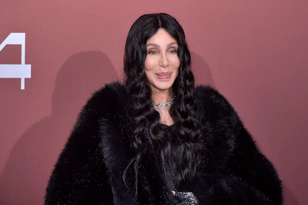 Cher Wore A Sheer Bodysuit To Swarovski's Hollywood Party