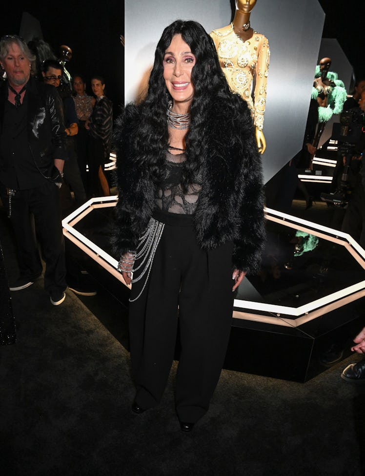 Cher at Swarovski Masters of Light Opening Celebration on October 28, 2025 in Los Angeles, Californi...