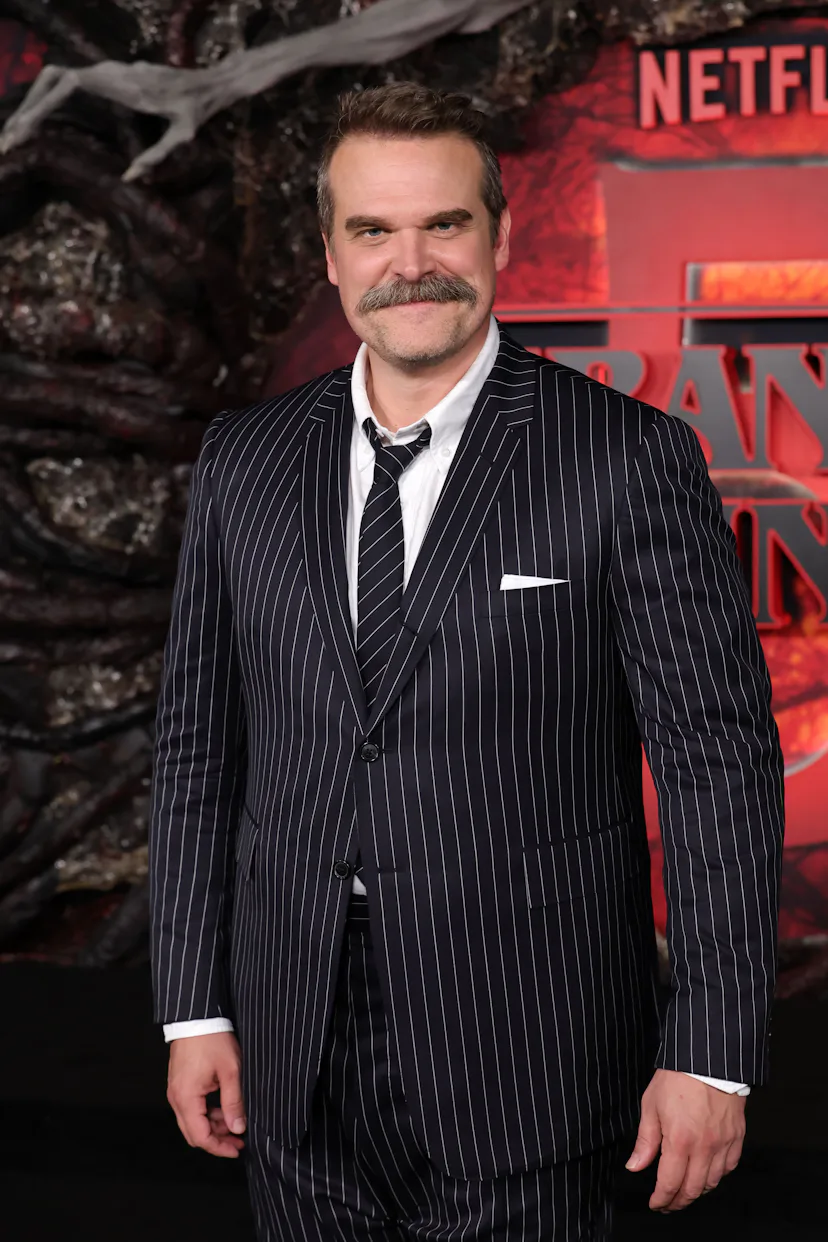 HOLLYWOOD, CALIFORNIA - NOVEMBER 06: David Harbour attends the Los Angeles Premiere of Netflix's "St...