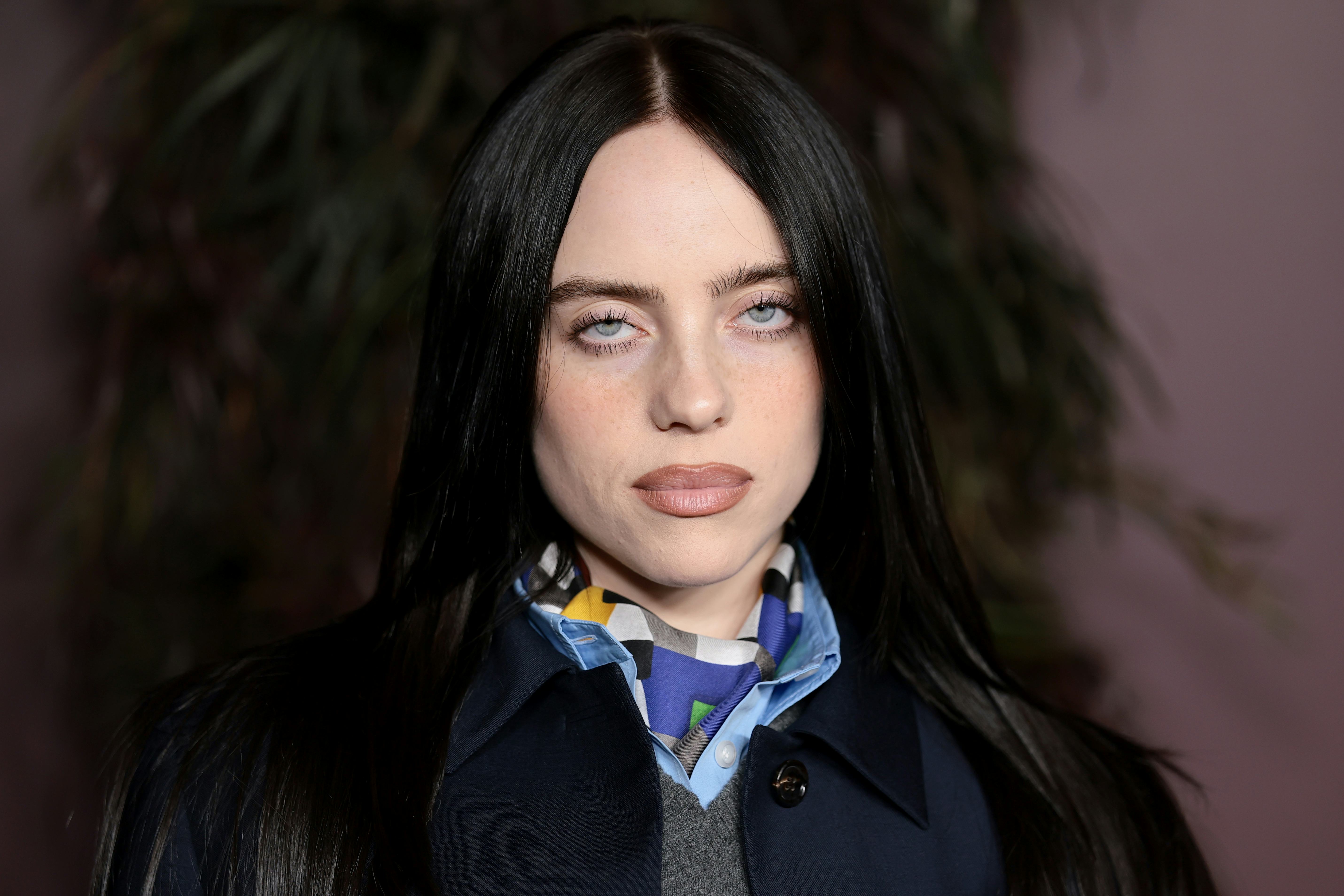 Billie Eilish Forgot To Wear Pants With Her See-Through Top