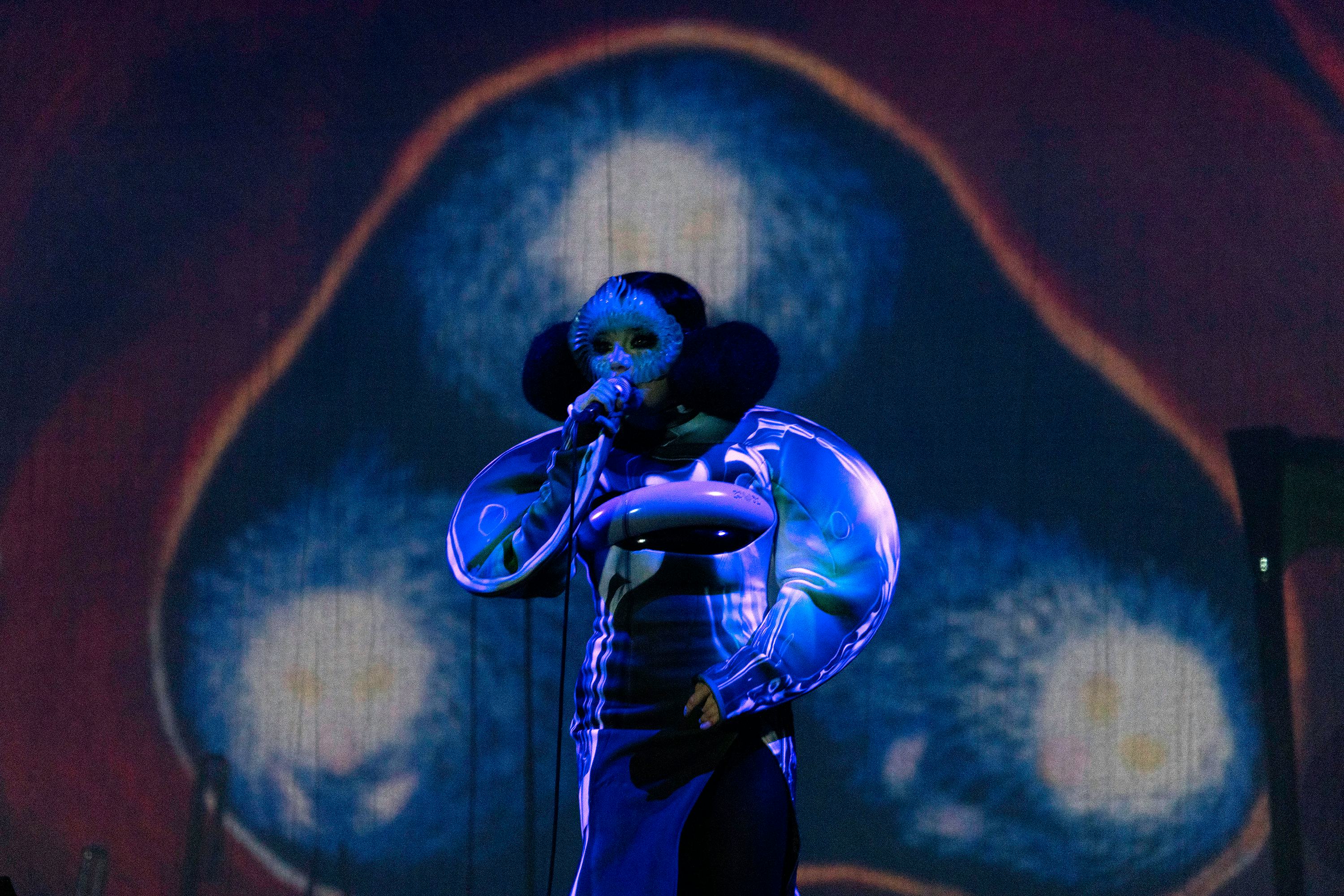 FLOIRAC, FRANCE - DECEMBER 05:  Björk performs on stage during a concert of her tour "Cornucopia" on...