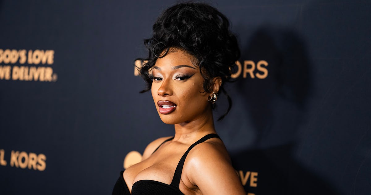 Megan Thee Stallion Wore The Teeniest Crop Top At Her BF's NBA Game