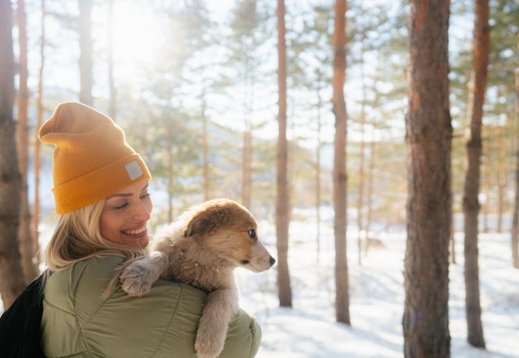 A woman in a warm green coat holds a dog as they enjoy a winter day in the woods.