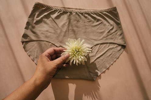 Female hand holding a white dahlia flower against panties as a symbol of female health and body