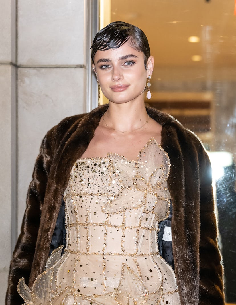 Нью -Йорк, Нью -Йорк - 12 февраля: модель Тейлор Мари Хилл, прибывающая в аренду Оскара де ла ...