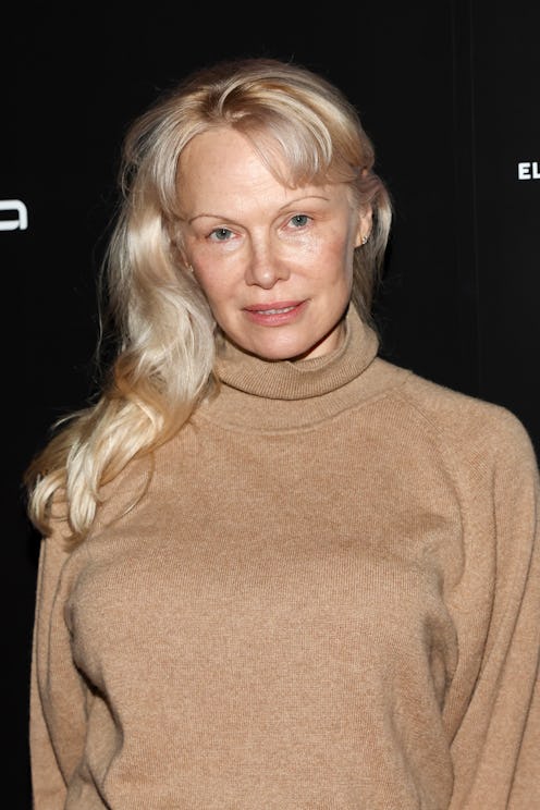 Pamela Anderson semi-sheer tulle skirt Dior