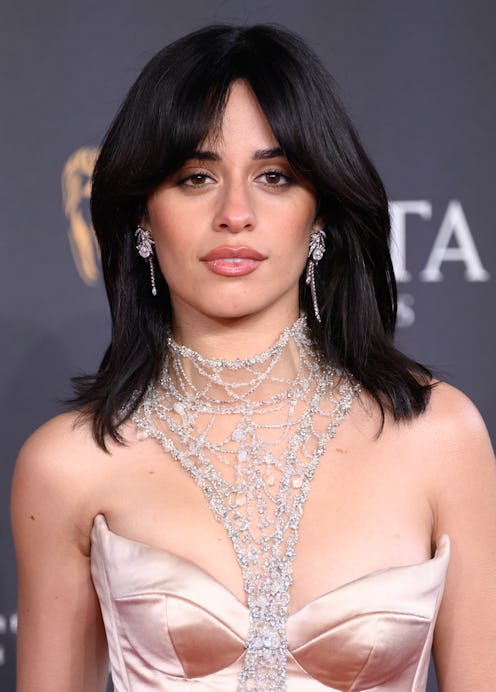 Camila Cabello wore a lacy baroque archival minidress.