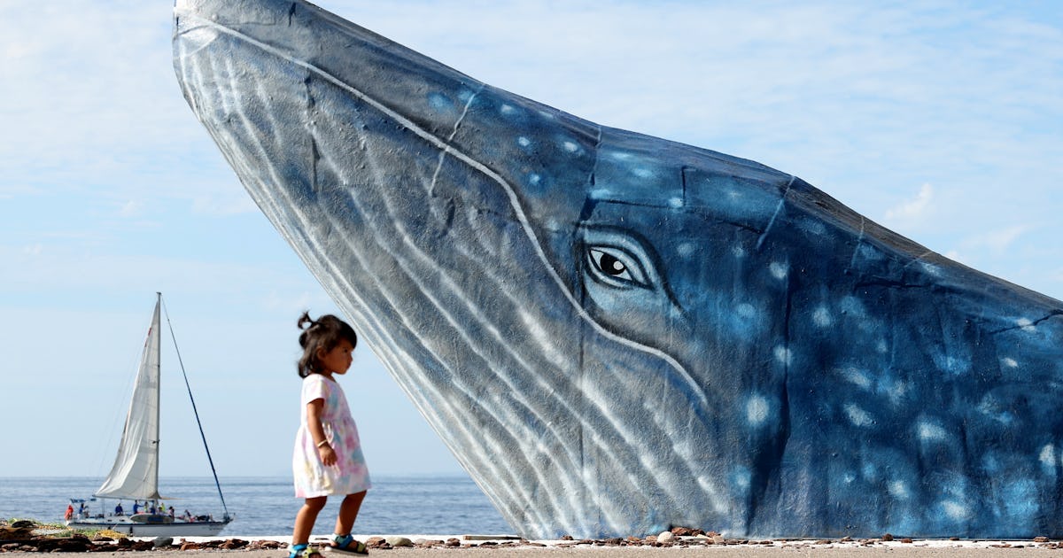 Amazing Things To Do In Puerto Vallarta With Kids