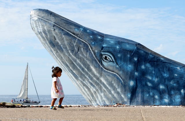 Puerto Vallarta, Mexico December 5, 2023-a young girl walks by an art piece of a whale in the Zona R...