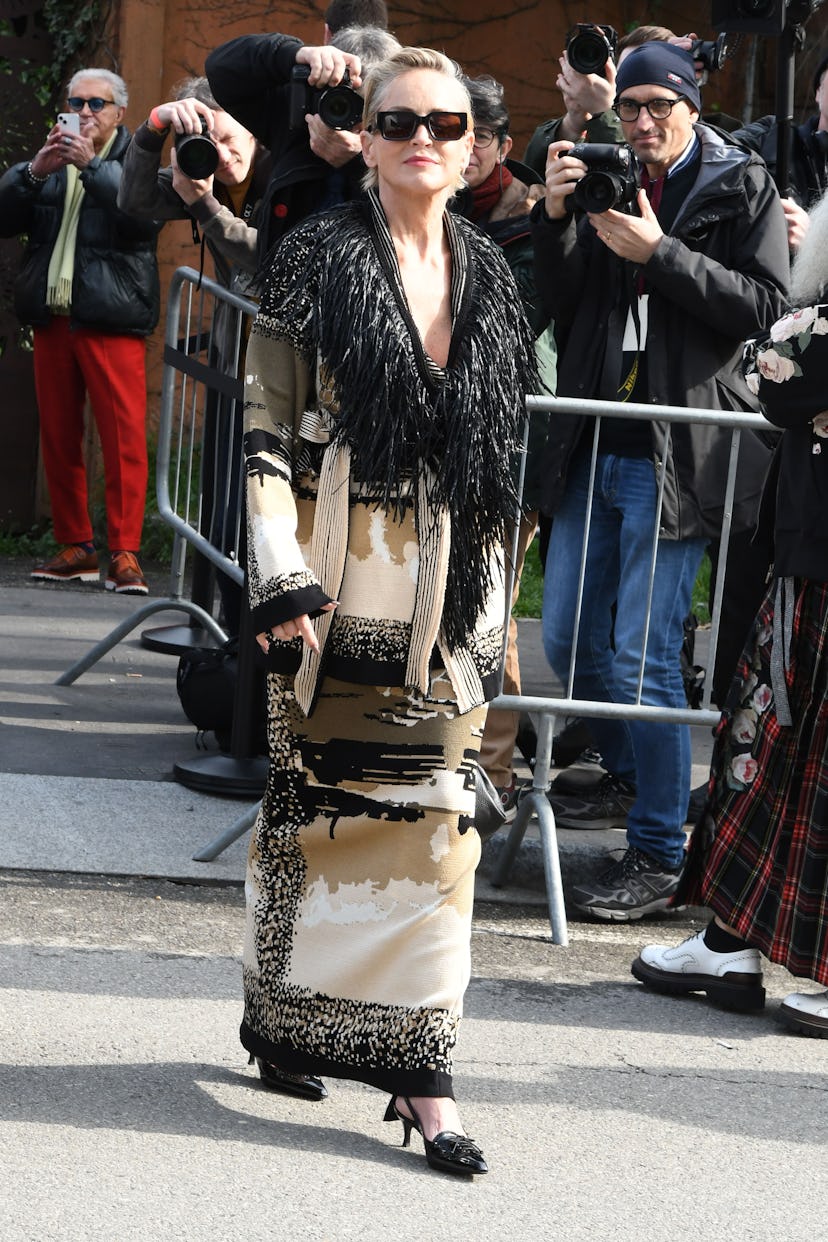 Милан, Италия - 26 февраля: Шарон Стоун видна во время миланской моды - в неделю женскую одежду осень/Винте ...