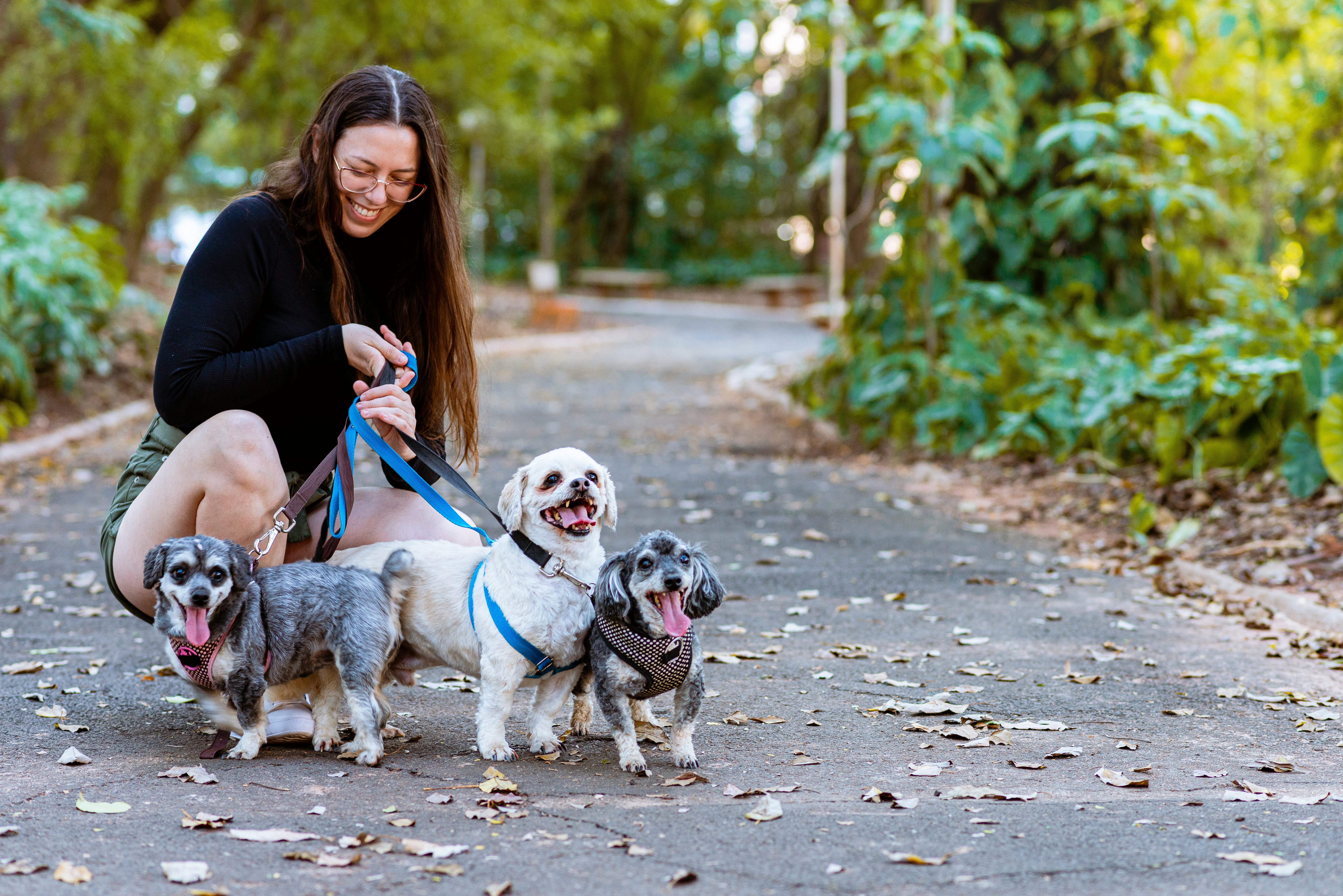 Sagittarians could earn extra money by dog walking.