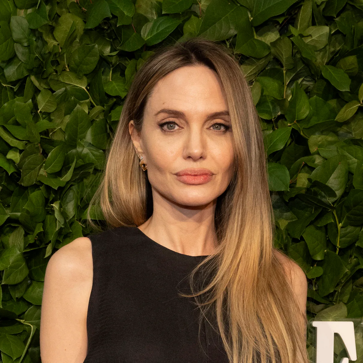 Angelina Jolie's Backless Ivory Dress Dazzled Audiences At The Santa Barbara Film Festival Angelina Jolie's Backless Ivory Dress Dazzled Audiences At The Santa Barbara Film Festival