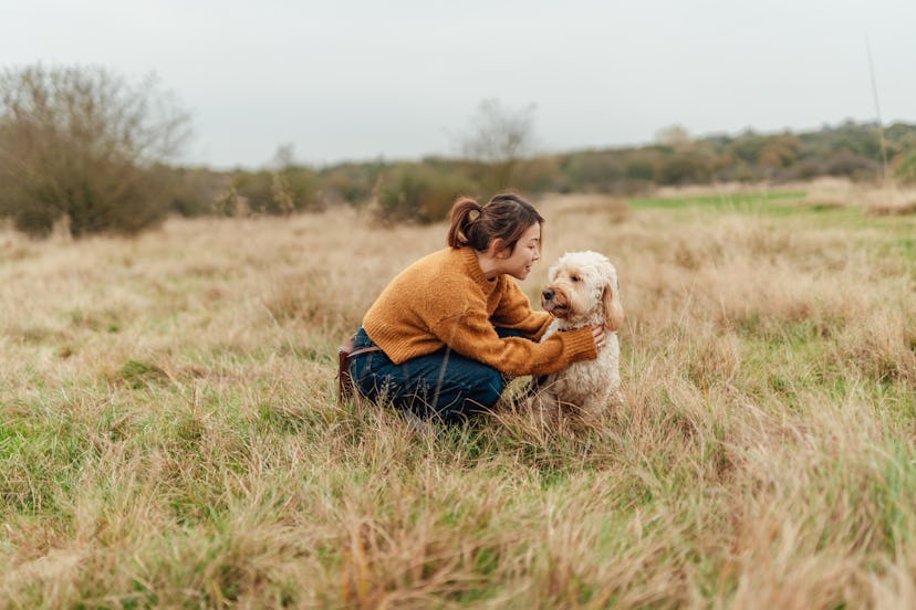 Woman playing with her Goldendoodle dog
