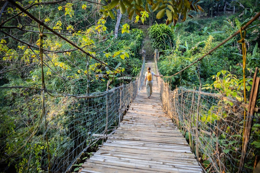 Woman with backpack in a rainforest