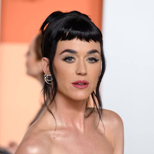 Katy Perry’s nakedest dress ever was so sheer.