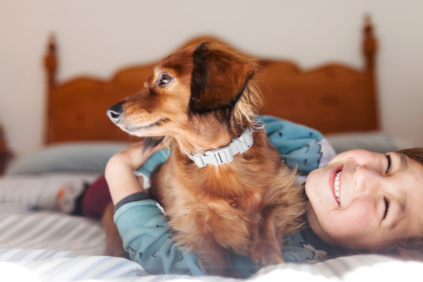 The Best Age For A First Pet Is 10, According To Experts