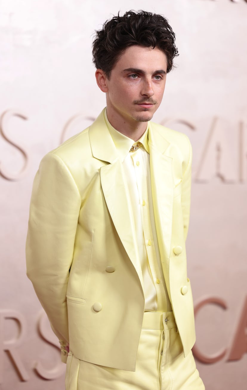 Los Angeles, CA. March 2, 2025: Timothee Chalamet on the red carpet at the 97th Academy Awards (Osca...