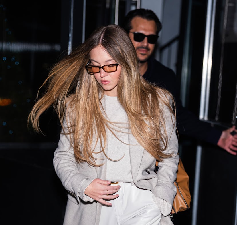 Sydney Sweeney deleted an Instagram photo kissing her fiancé Jonathan Davino.
