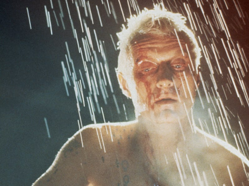 Dutch actor Rutger Hauer, as replicant Roy Batty, in a scene from Ridley Scott's futuristic thriller...