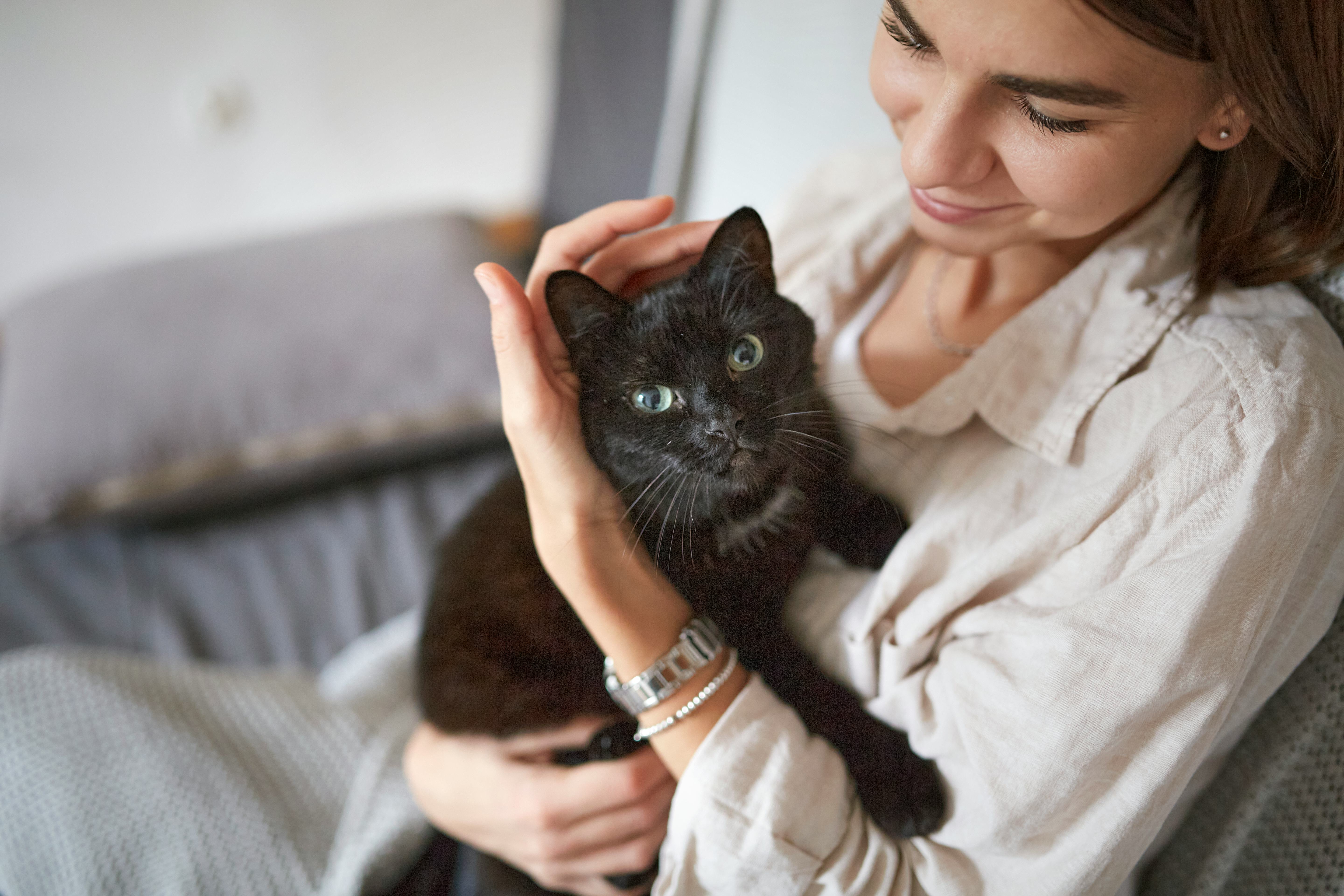 Black cat name ideas.