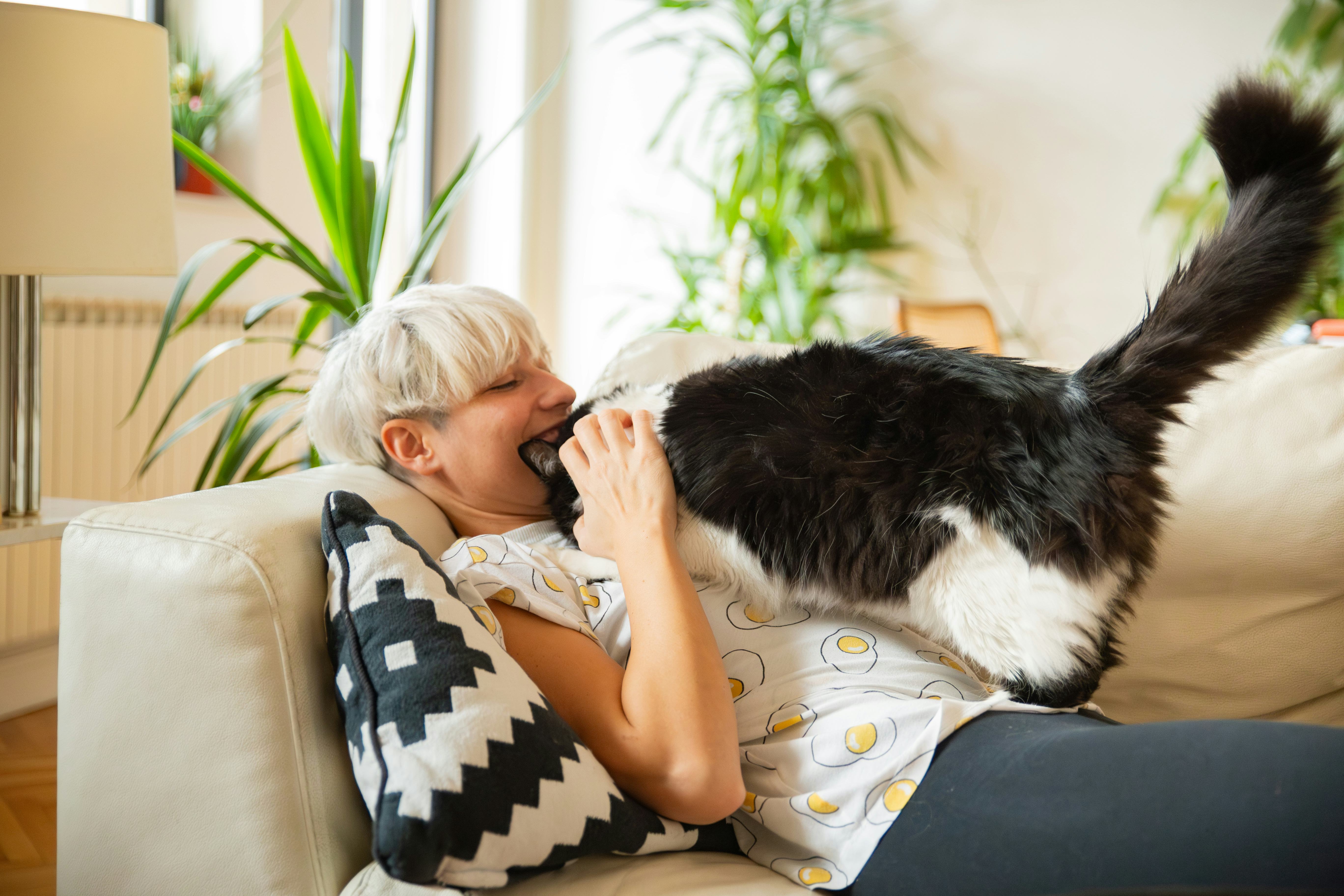 black cat name ideas