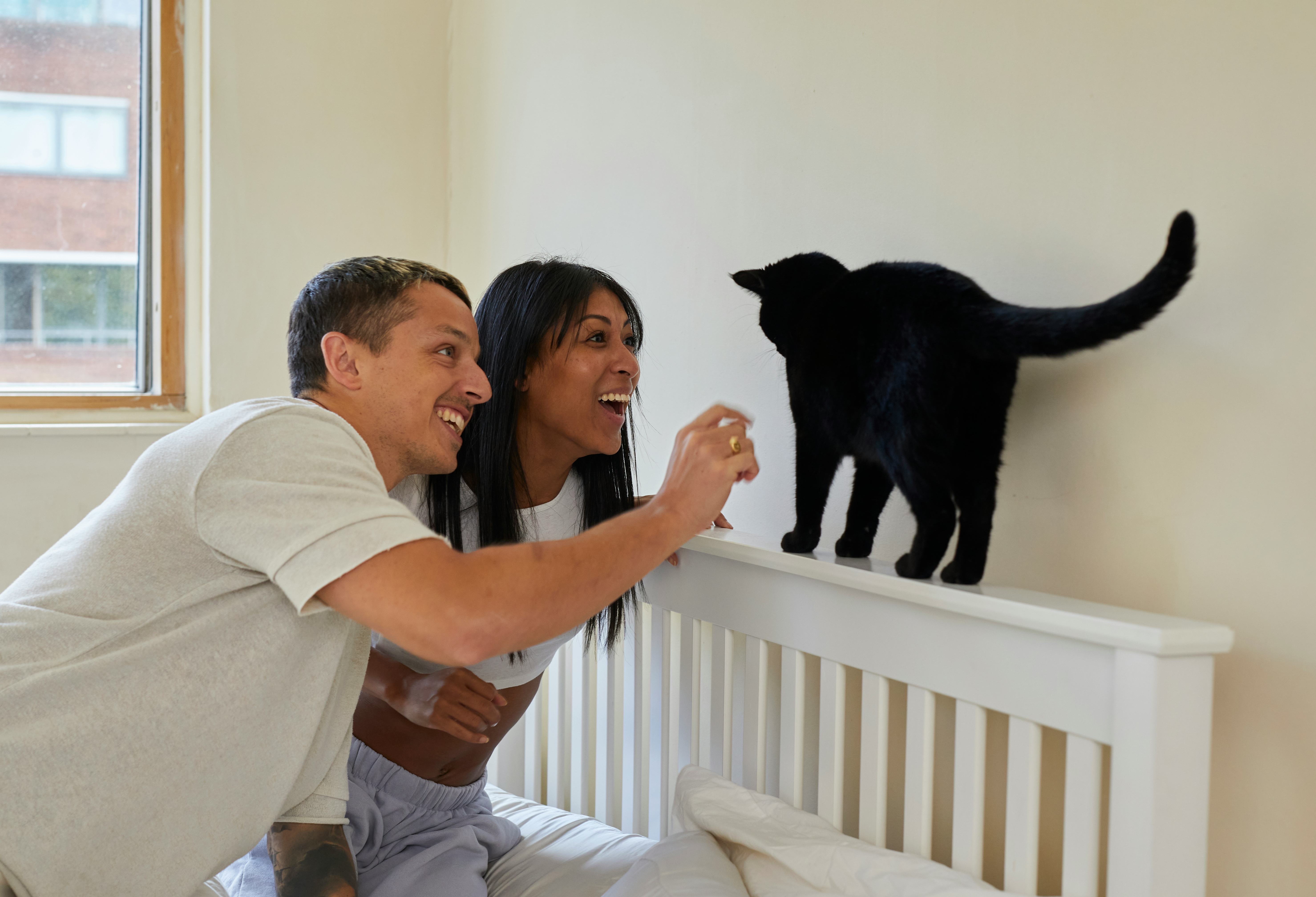 black cat name ideas