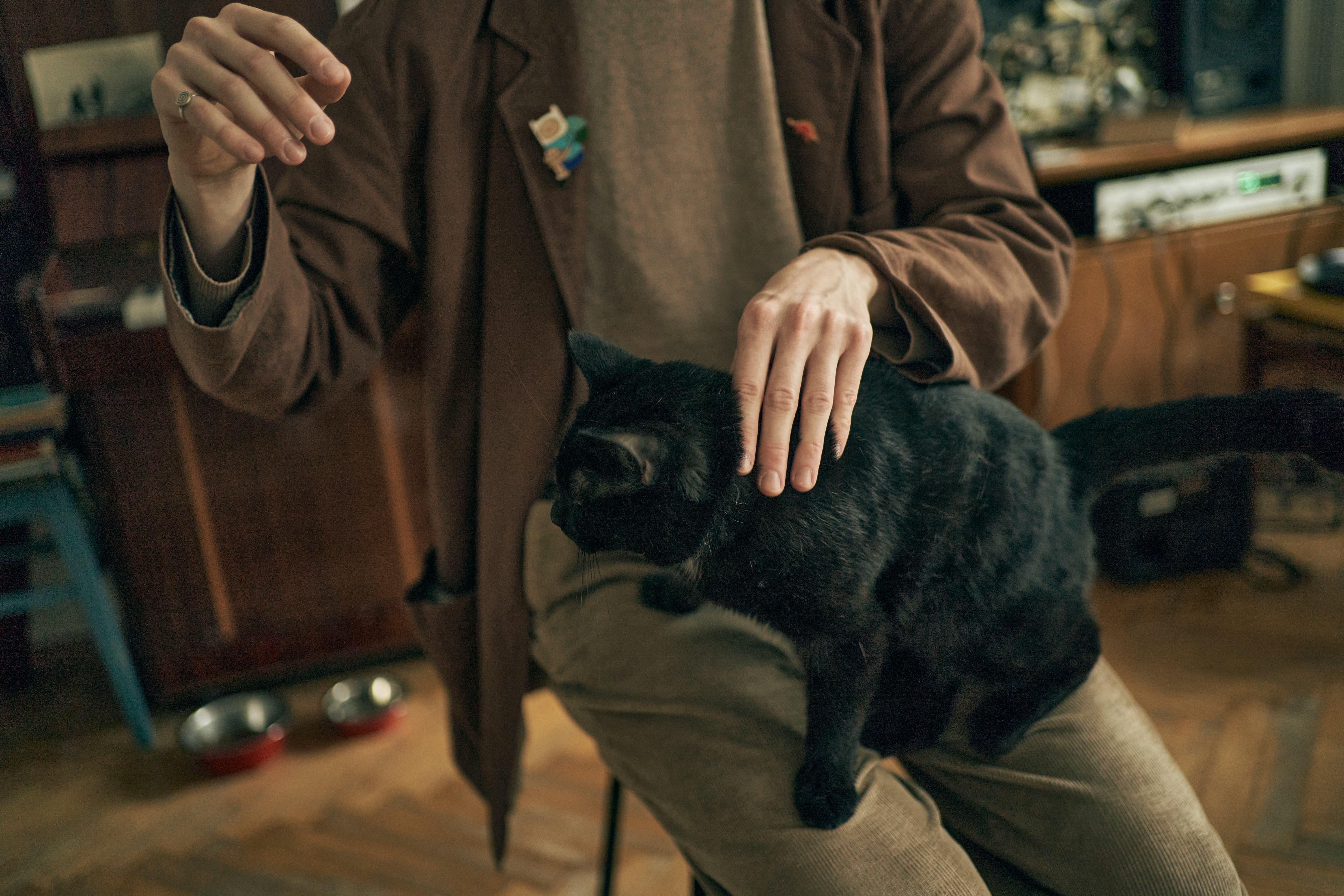 black cat name ideas