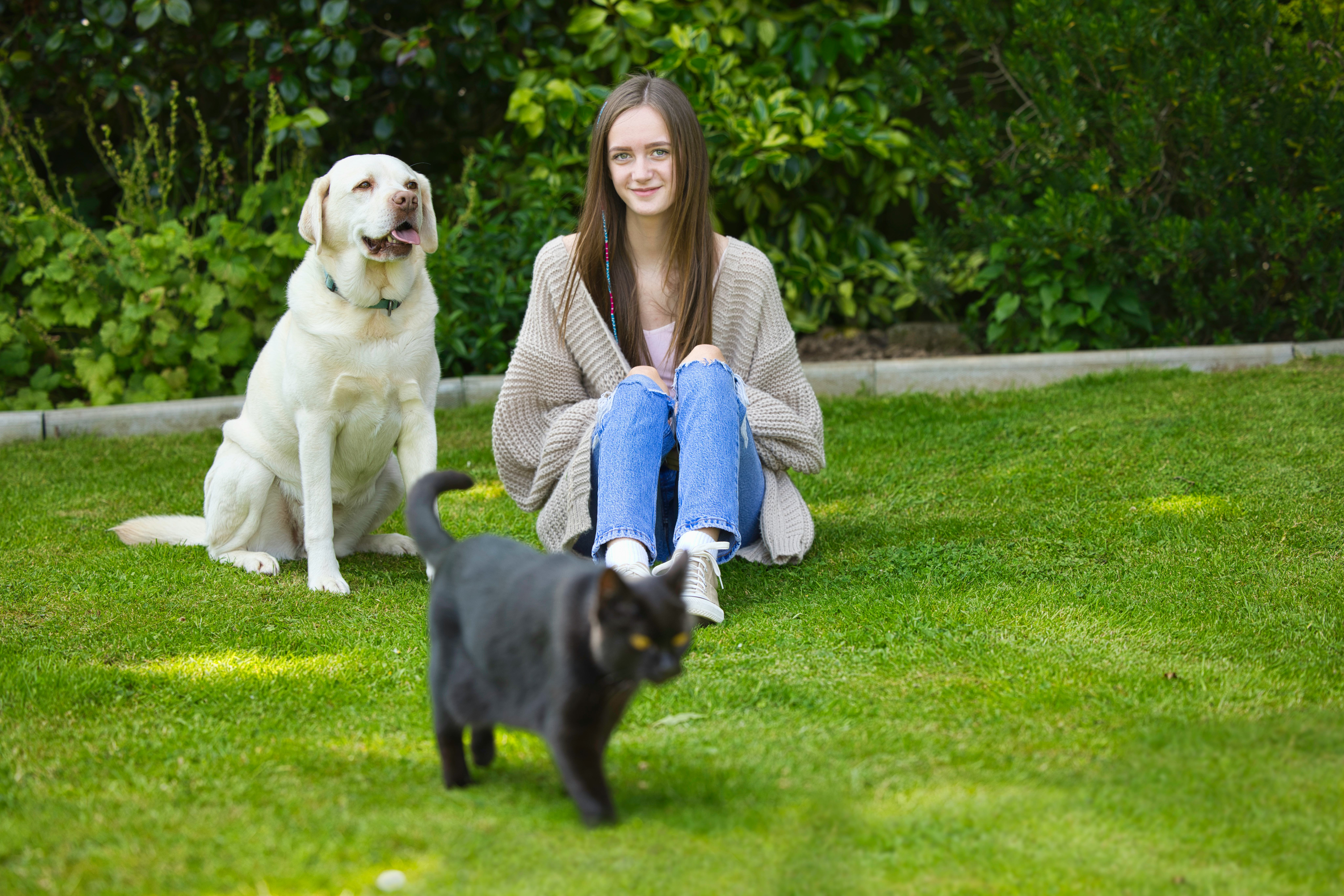 black cat name ideas