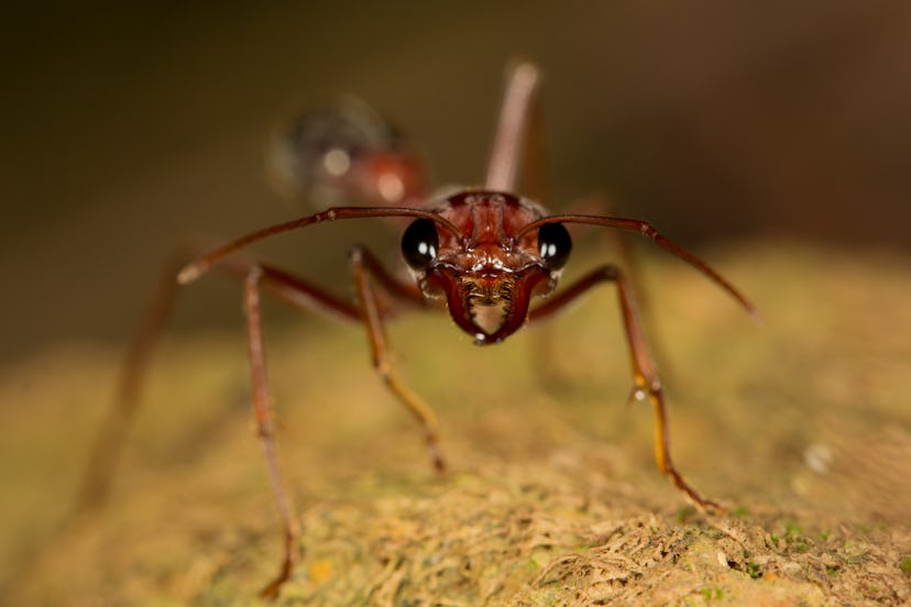 getty 979698622 getty 979698622