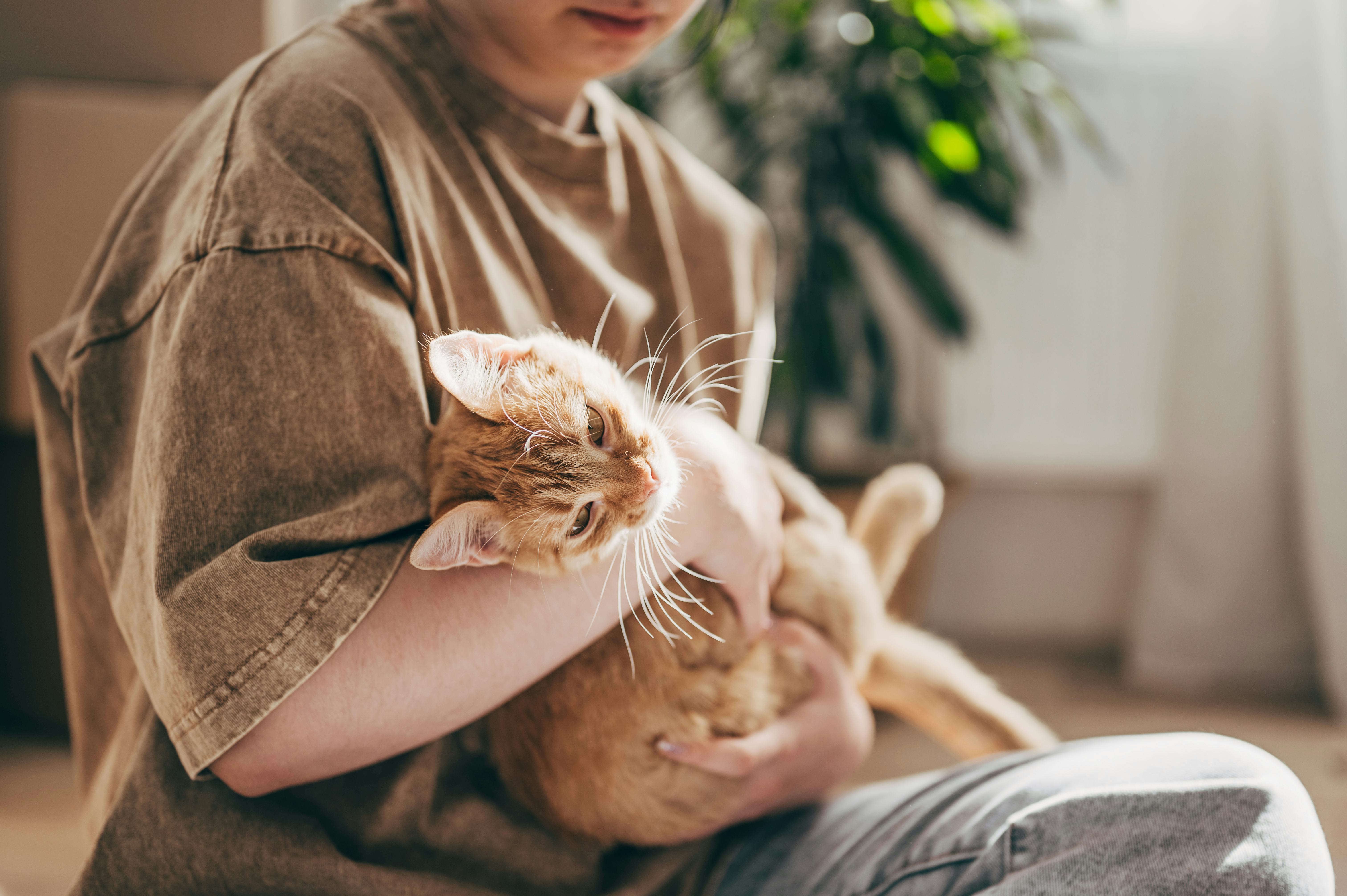 orange cat name ideas