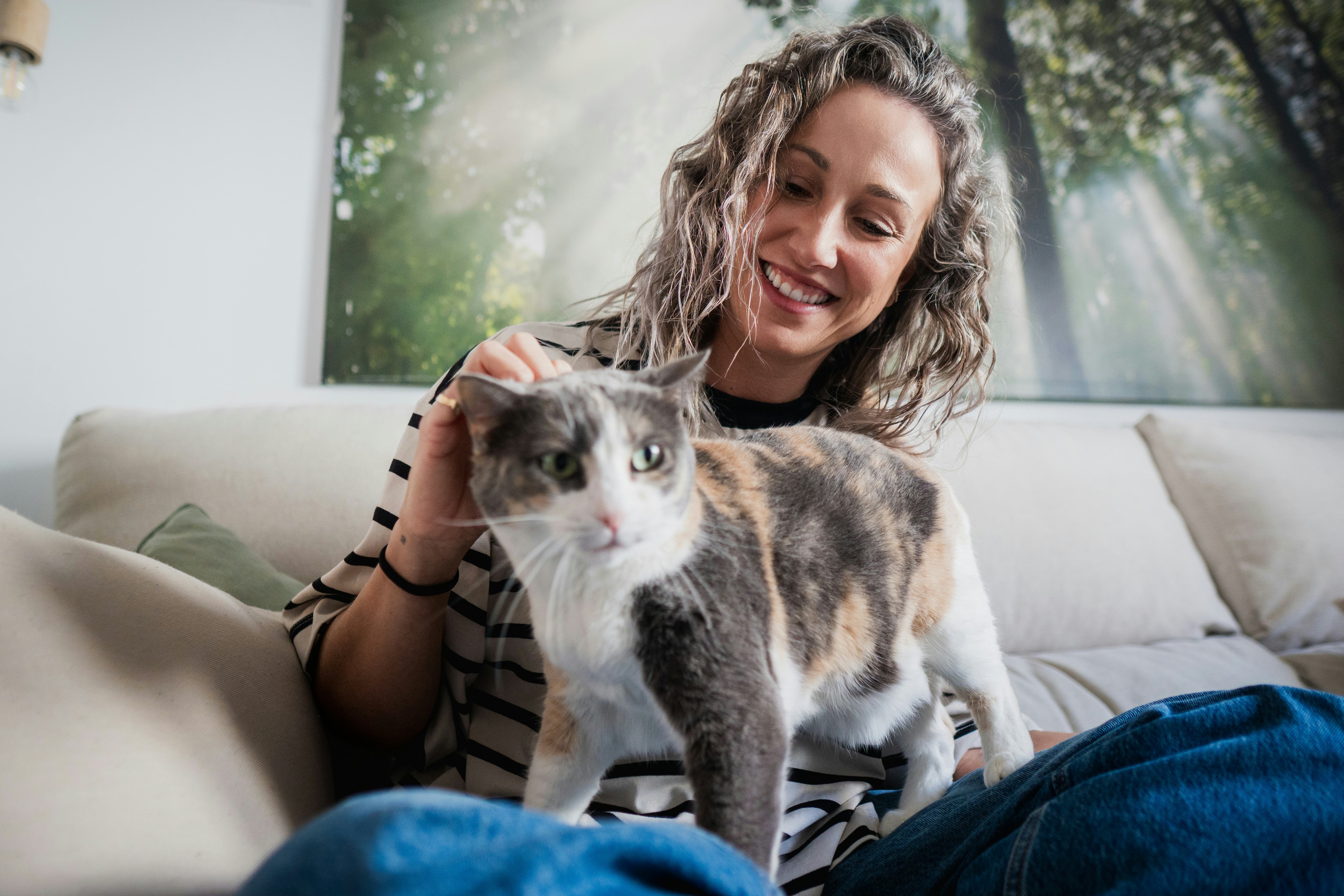 calico cat name ideas