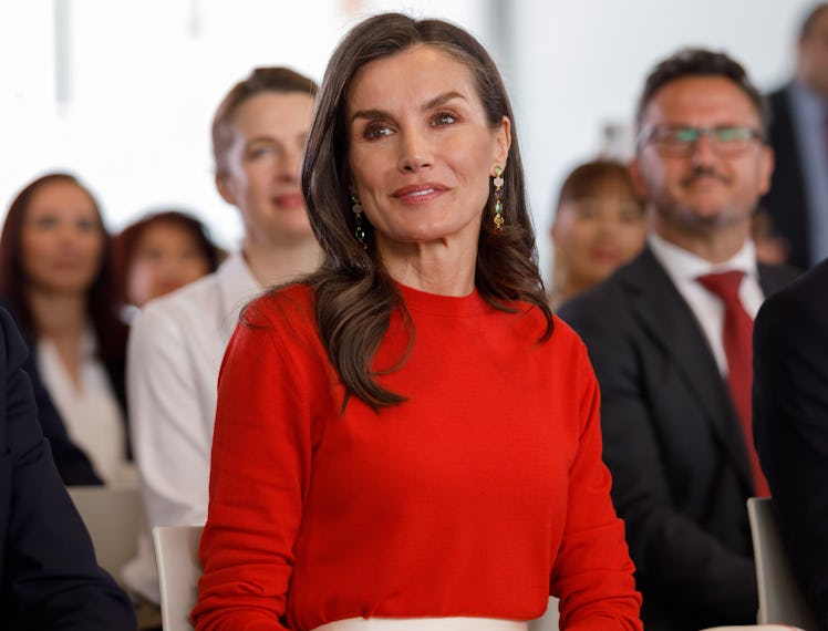 Queen Letizia visits the Mind, Brain and Behavior Research Center (CIMCYC) of the University of Gran...