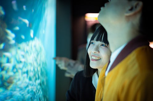 Couple looking at school of fish in aquarium