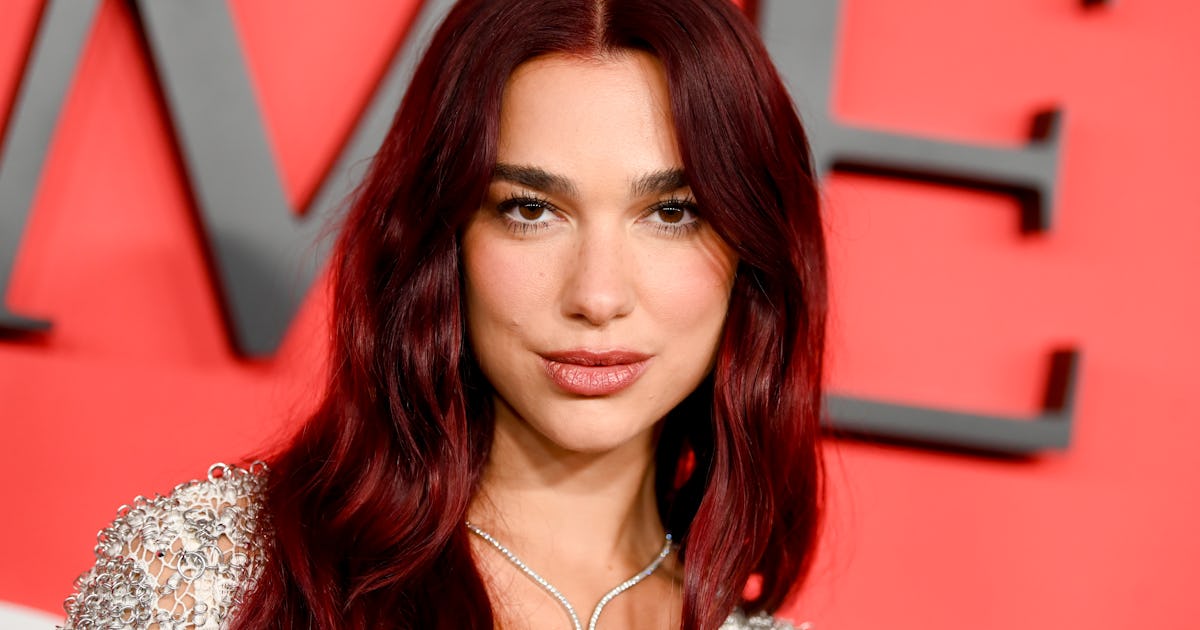 Dua Lipa Paired A Cutout Swimsuit With An Edgy Bomber Jacket