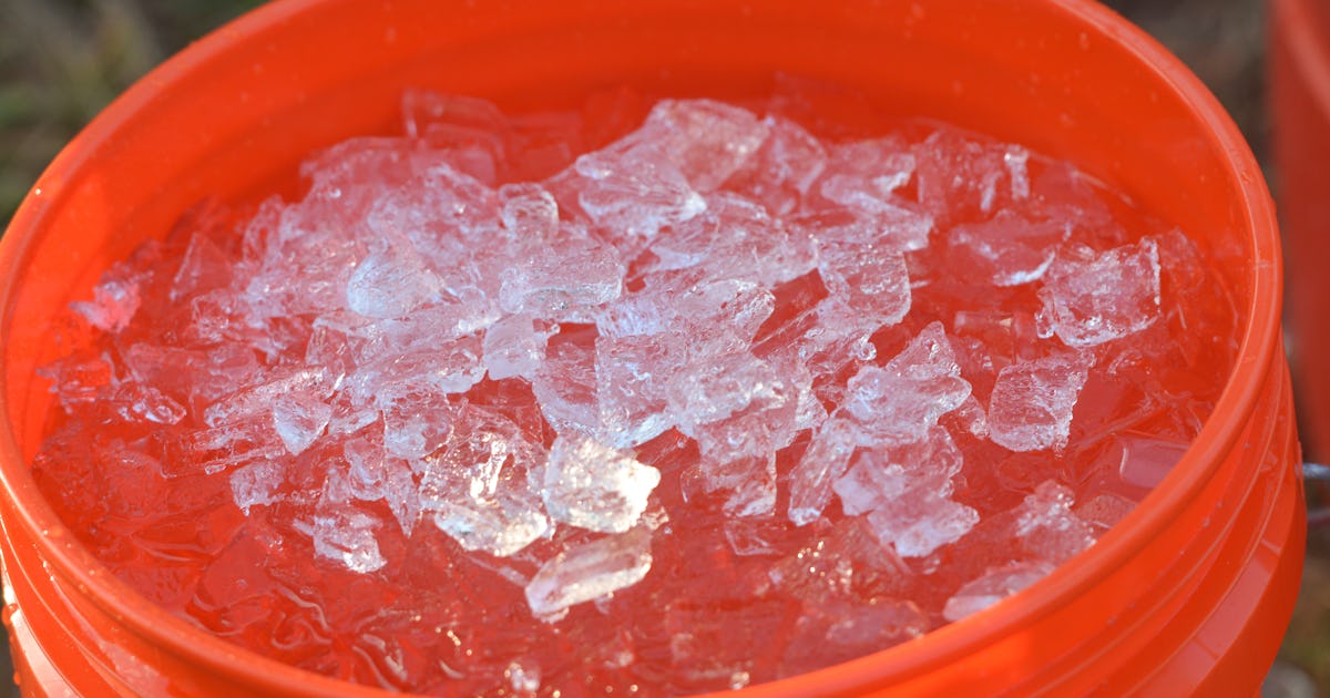 Here's Why The Ice Bucket Challenge Is Back - & Why Teens Are Jumping In