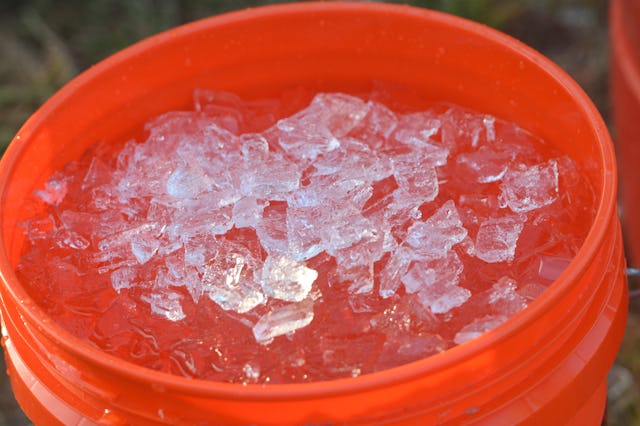 A detail photo of a bucket with ice water in it. At the Shanesville Fruit Farm in Earl Township Wedn...