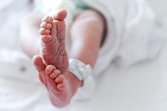 Newborn baby boy at hospital with identity tag on feet, close up